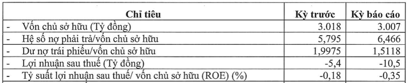 Chu dau tu du an Doi Rong thua lo, du no trai phieu con 4.540 ty