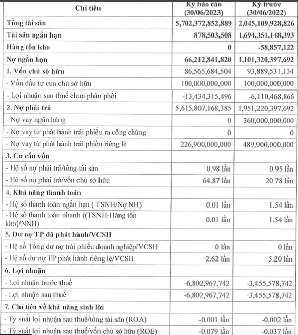 Mua ban no Thuan Minh lo gap doi cung ky, no gap 65 lan von chu so huu-Hinh-2