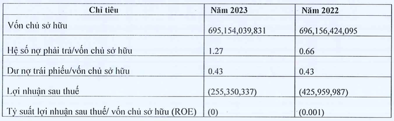 Vua bi xu phat, Thuy Duong Viet Nam lai bao lo hon 255 trieu dong