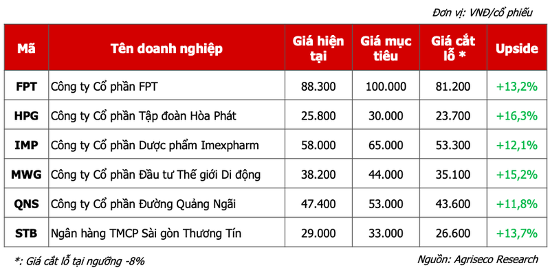 Co phieu nao co dinh gia hap dan va cau chuyen rieng trong thang 11?