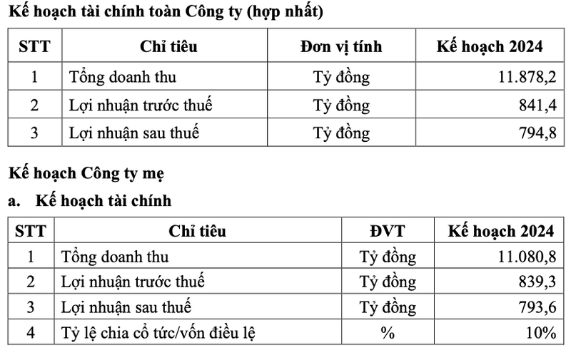 Dam Ca Mau len ke hoach loi nhuan 2024 suy giam manh 42% so 2023