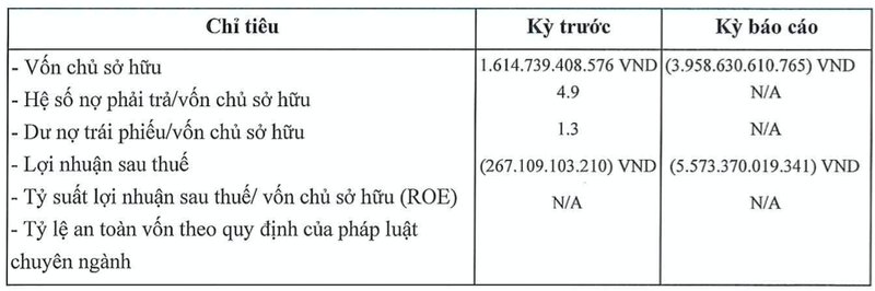 Doanh nghiep lien quan du an The Spirit of Saigon bao lo khung 5.573 ty-Hinh-2