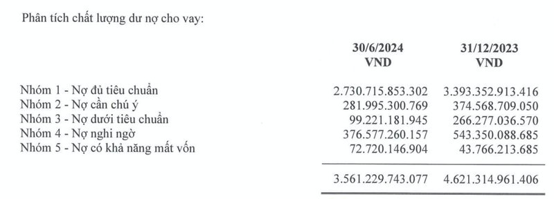 VietCredit lo nang 185 ty trong 6 thang, tin dung tang truong am 22,9%-Hinh-2