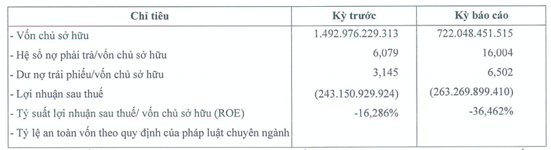 Ngoi sao Phuong Nam lo 263 ty, no phai tra khung 11.522 ty