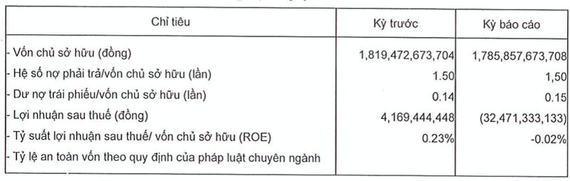 Dau tu Phan Vu lo bi dat, co dong than kem hon doi thu