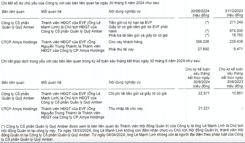 EVNFinance cho vay 11.606 ty lien quan cac du an BDS chua xay dung-Hinh-2