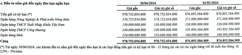 Chi thuong hon 4.820 ty dong, Xo so Kien thiet TPHCM lam an ra sao?-Hinh-4