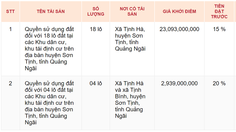 Quang Ngai: Dau gia 22 lo dat tai dinh cu, khu dan cu