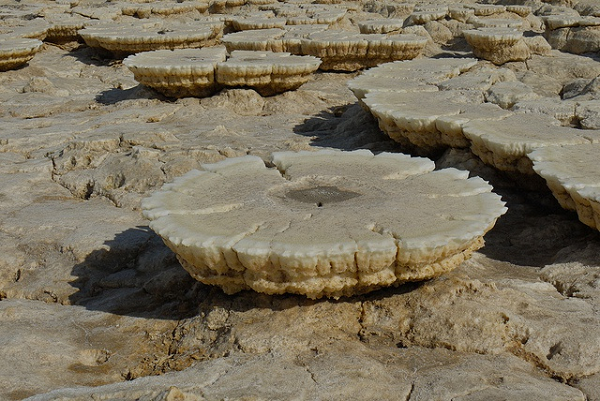 Tiet lo bat ngo ve mieng nui lua Dallol: Co nuoc nhung khong co su song-Hinh-5