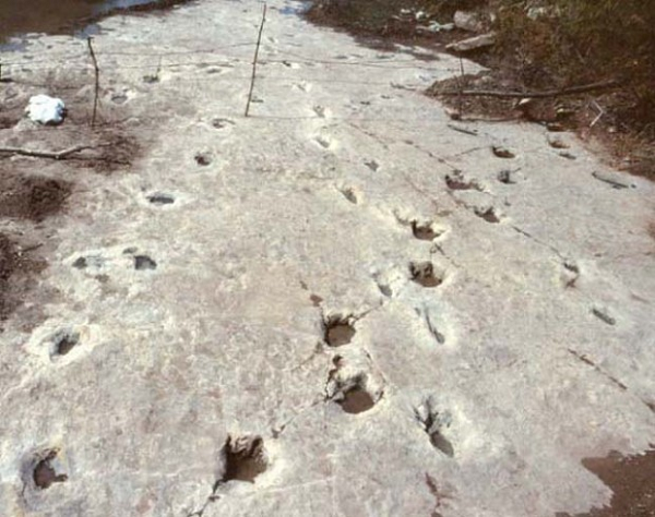 Tieng gam la trong khong gian va loat bi an khien nha nghien cuu bo tay-Hinh-4