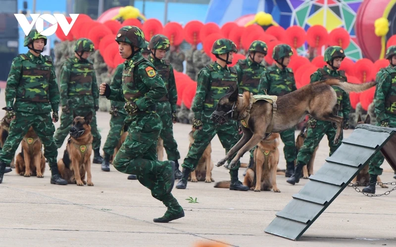 Can canh tong duyet Trien lam Quoc phong quoc te Viet Nam 2024-Hinh-10