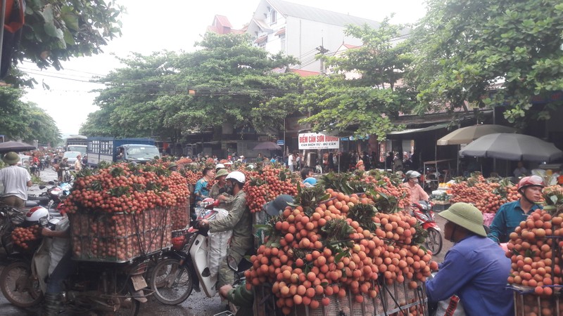 Vai thieu Luc Ngan gia cao ky luc