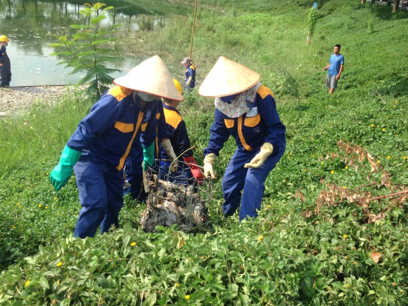 Ca chet o ho trong cong vien Yen So duoc dua di dau?-Hinh-6