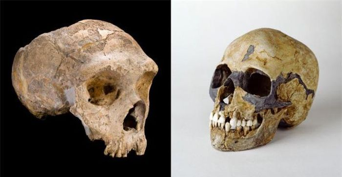 Nguoi Neanderthal tuyet chung vi dieu dac biet nay?-Hinh-8