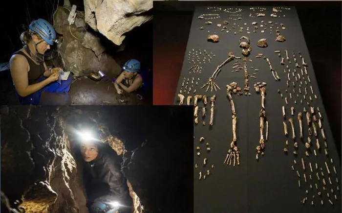 Phat hien hai cot cua loai nguoi co Homo naledi