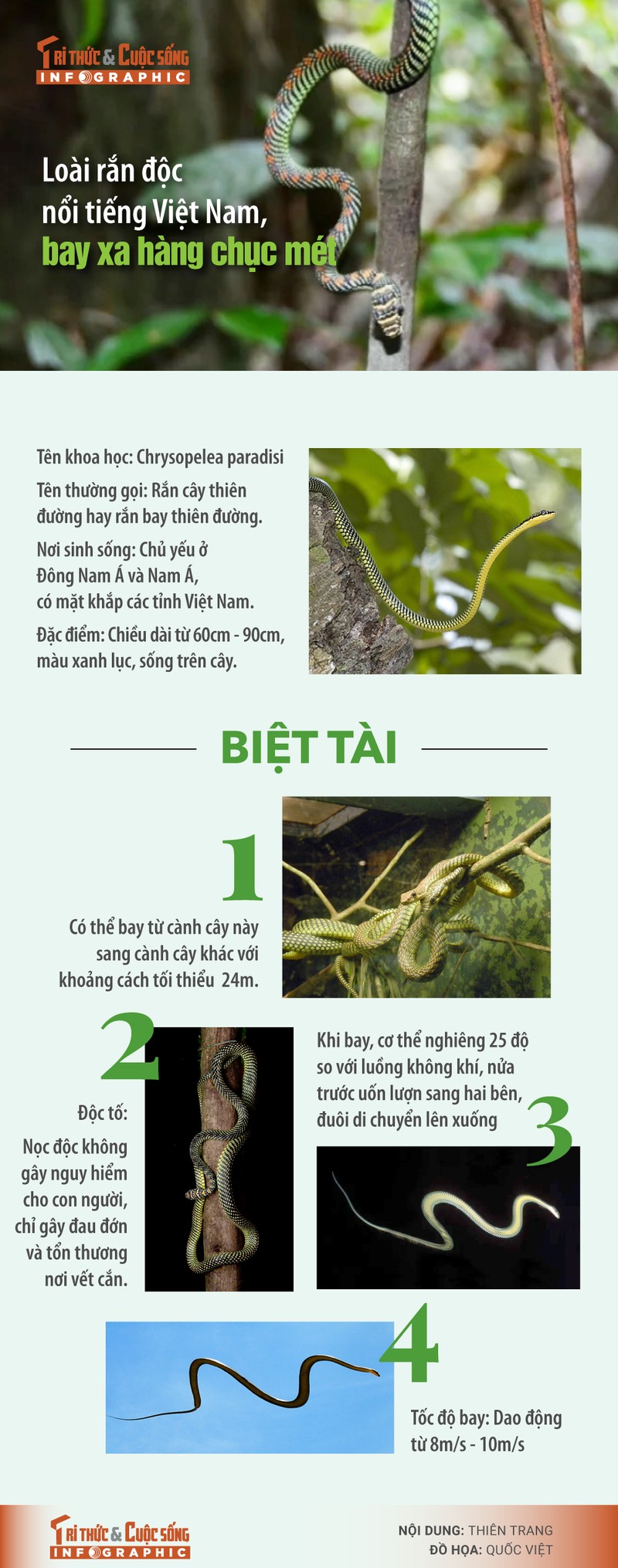 [INFOGRAPHIC]: Loai ran doc noi tieng Viet Nam, bay xa hang chuc met