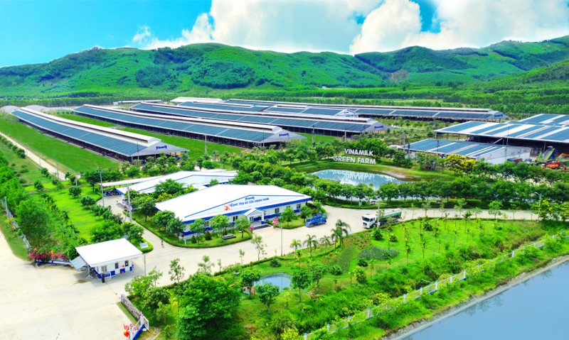 Vinamilk: Mot thuong hieu quoc gia “Dac biet” va “Khac biet“-Hinh-4