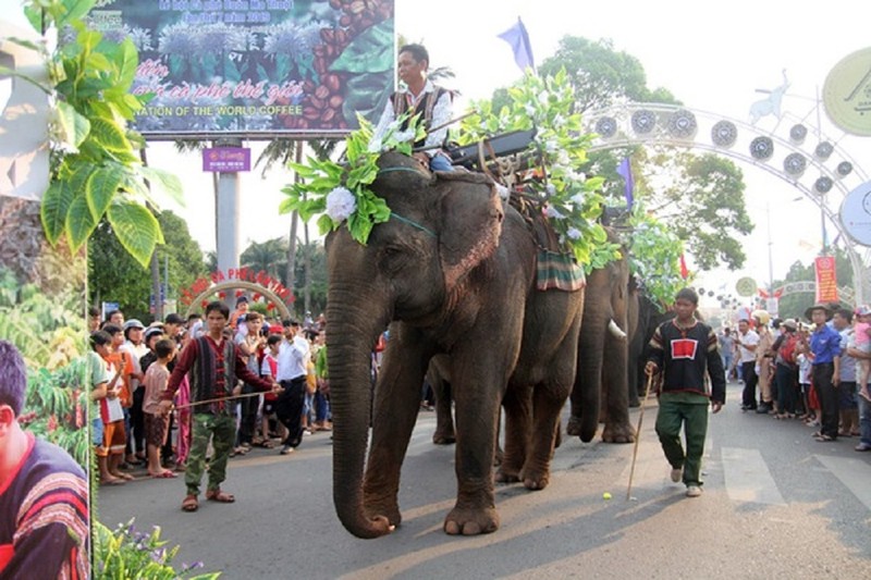 Le hoi ca phe Buon Ma Thuot lan thu 8: Diem den cua ca phe the gioi