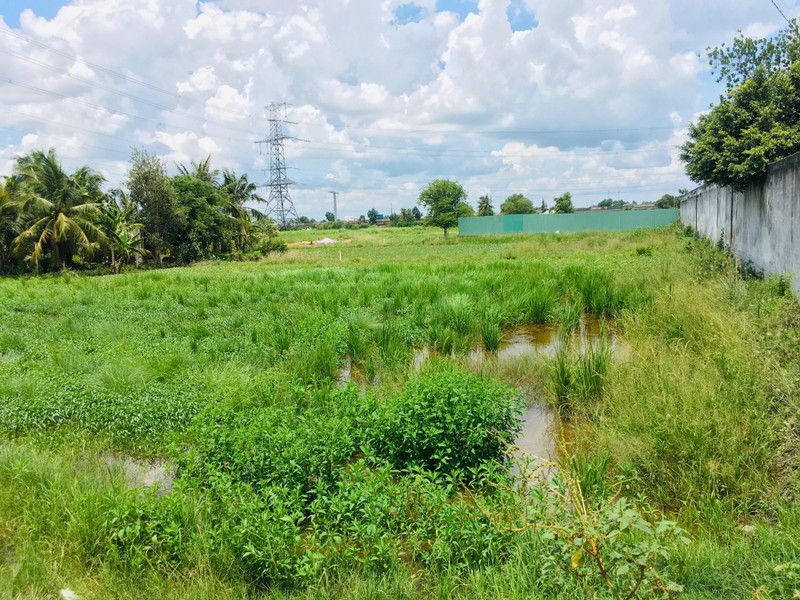 Can canh du an An Lac Riverside 'thoat xac' thanh Lake View City de bay khach hang-Hinh-3