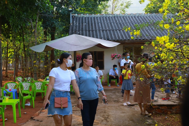 Chiem nguong cay mai 'khung' o Dong Nai-Hinh-11