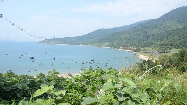 Da Nang dinh lai gia dat ba du an tren ban dao Son Tra