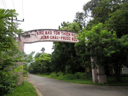 Nhieu sai pham trong giao khoan dat rung tai Khu Bao ton thien nhien Binh Chau - Phuoc Buu