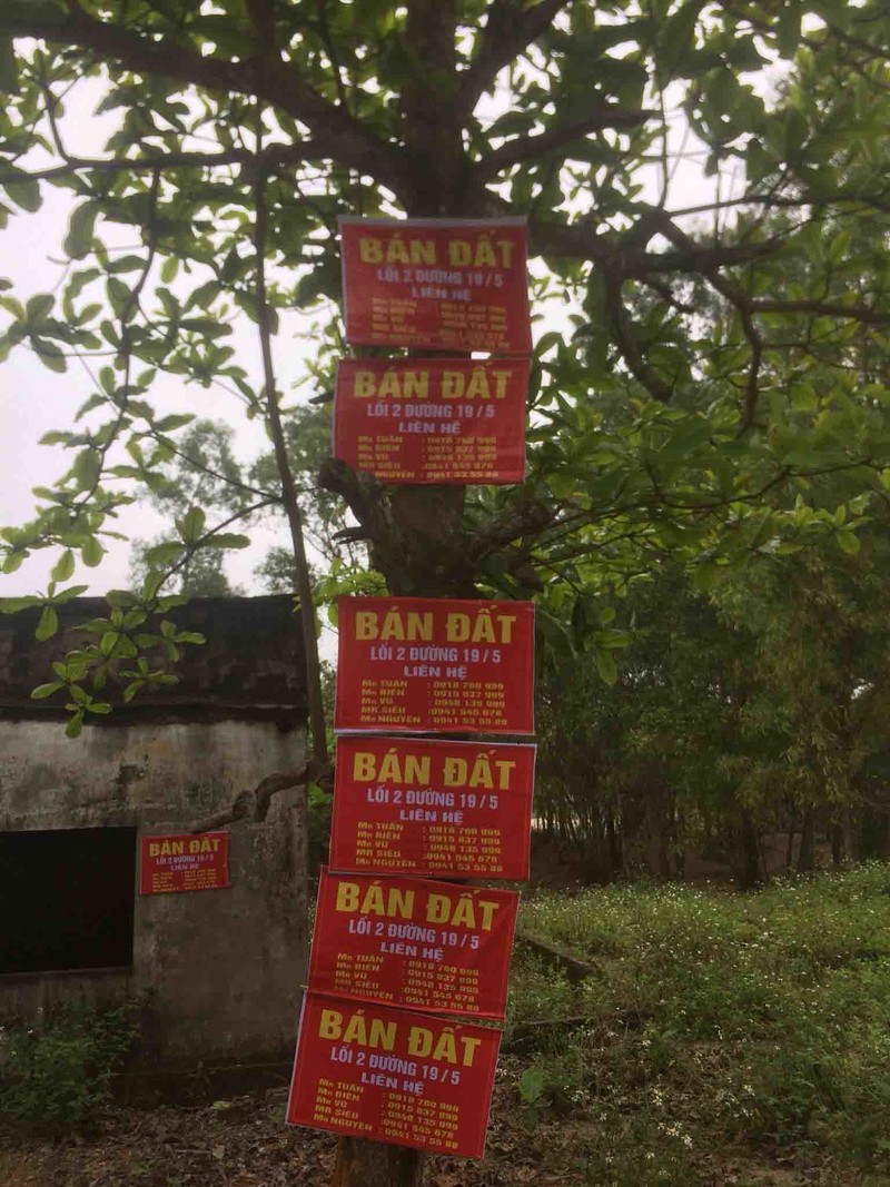 'Co' dat khuay dong lang que Ha Tinh, vai ngay lai 'bay sach'