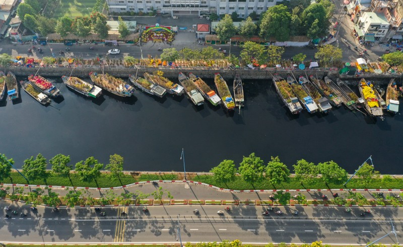 Ron rang cho hoa Xuan “Tren ben duoi thuyen” o TP HCM-Hinh-2