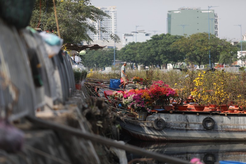 Ron rang cho hoa Xuan “Tren ben duoi thuyen” o TP HCM-Hinh-3