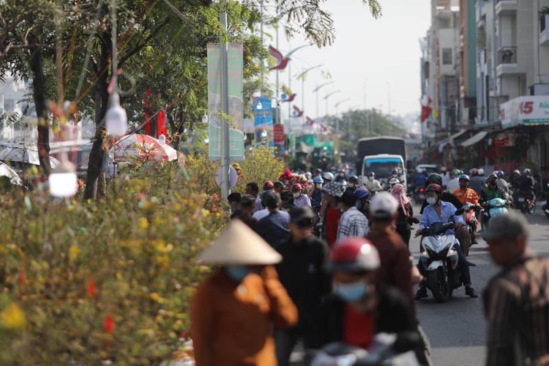 Ron rang cho hoa Xuan “Tren ben duoi thuyen” o TP HCM-Hinh-9