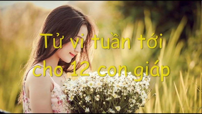 Tu vi tuan moi 12 con giap tu 8 den 14/7: Tuoi nay bac tien day tui, tieu xai xa lang-Hinh-3