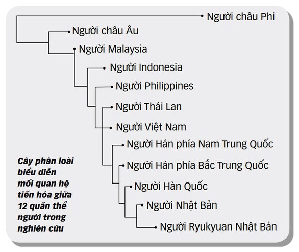 Co the goc gac nguoi Viet o tan... chau Phi, doc lap voi nguoi Han