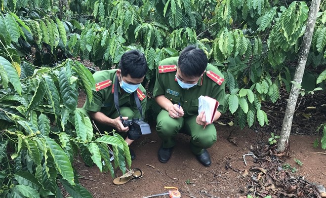 Thi the co gai trong ray ca phe: Nan nhan quay canh an ai voi nguoi tinh nen bi giet-Hinh-2