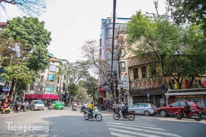 Nhung tuyen pho dat do co gia dat ca ty dong/m2 o Ha Noi-Hinh-8