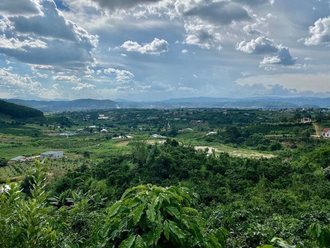 Phan lo dat nen tu phat gan mac khu nghi duong Lam Dong