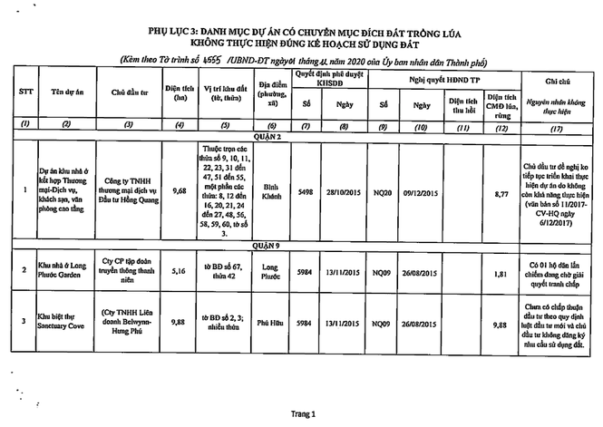 Chi tiet 61 du an om dat bo hoang bi 'khai tu' o TP HCM-Hinh-14