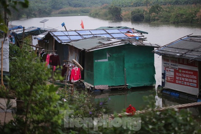 Ha Noi lanh 12 do C: Gia buot xom ngu cu o bai giua song Hong