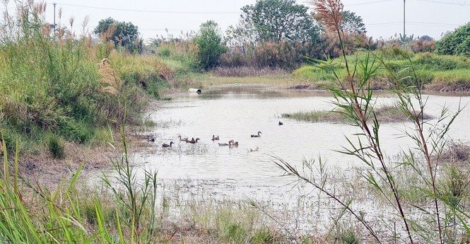 Cuoi nam, 'co dat' thi nhau thoi gia loat du an 'dap chieu' phia Tay Ha Noi-Hinh-3