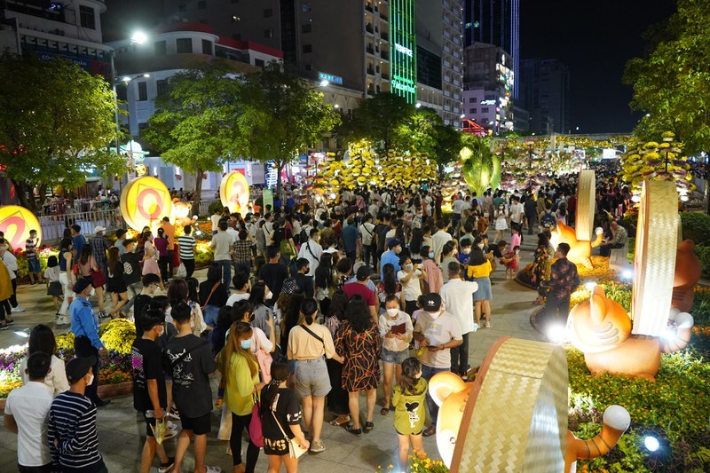 Hang ngan nguoi den tham quan duong hoa Nguyen Hue dem khai truong-Hinh-6