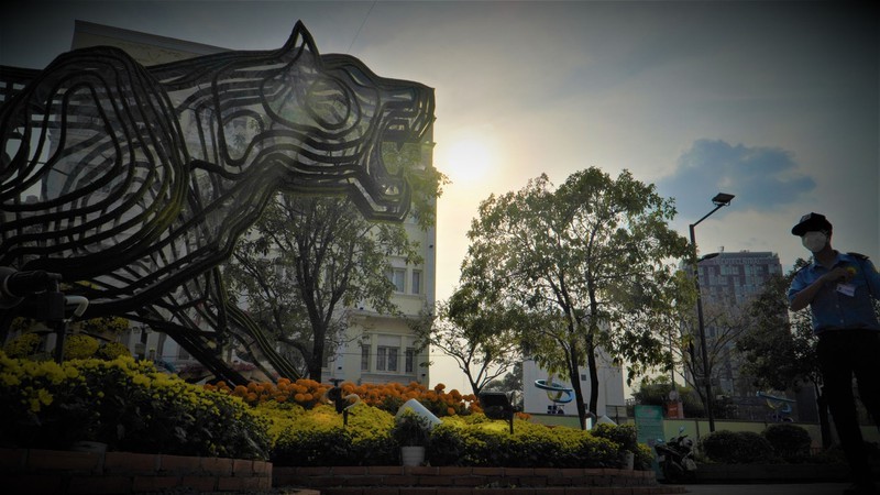 Hang ngan nguoi den tham quan duong hoa Nguyen Hue dem khai truong-Hinh-8