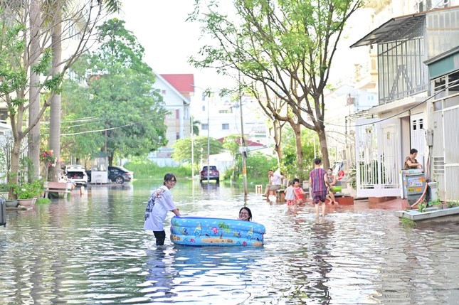 Can canh hang tram can biet thu trieu do ngap trong nuoc o Quang Ninh-Hinh-11