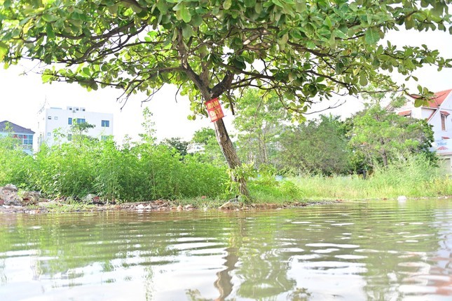 Can canh hang tram can biet thu trieu do ngap trong nuoc o Quang Ninh-Hinh-13