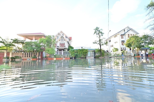 Can canh hang tram can biet thu trieu do ngap trong nuoc o Quang Ninh-Hinh-2