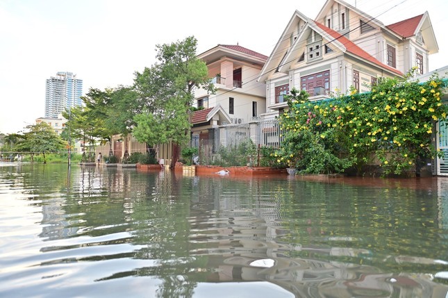 Can canh hang tram can biet thu trieu do ngap trong nuoc o Quang Ninh-Hinh-3