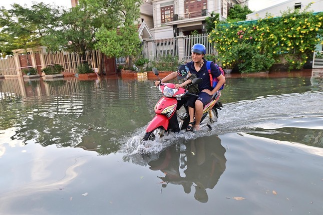 Can canh hang tram can biet thu trieu do ngap trong nuoc o Quang Ninh-Hinh-5