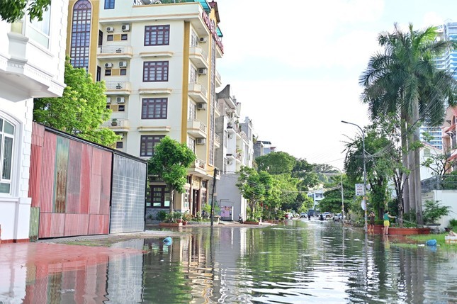 Can canh hang tram can biet thu trieu do ngap trong nuoc o Quang Ninh-Hinh-8