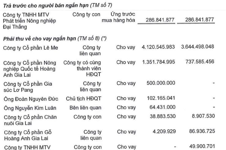 Vi sao tap doan HAGL giau giem co dong cho Bau Duc vay tram ty?-Hinh-4