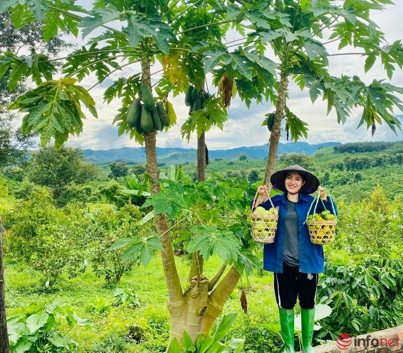 Co gia xinh dep roi Sai Gon sau 10 nam gan bo ve que nuoi heo ban, trong cay lam giau