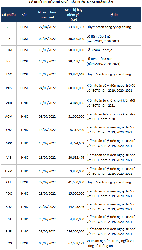 Nhung co phieu chia tay san chung khoan nam qua: Diem ten ROS, VIS, CEE...