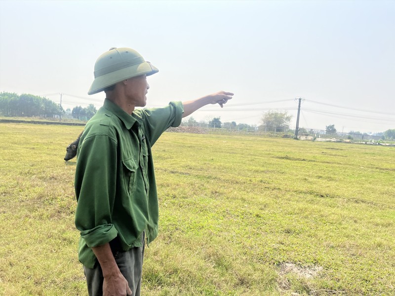 Cang hang khong Noi Bai moi 'tra loi mot nua' van de o nhiem